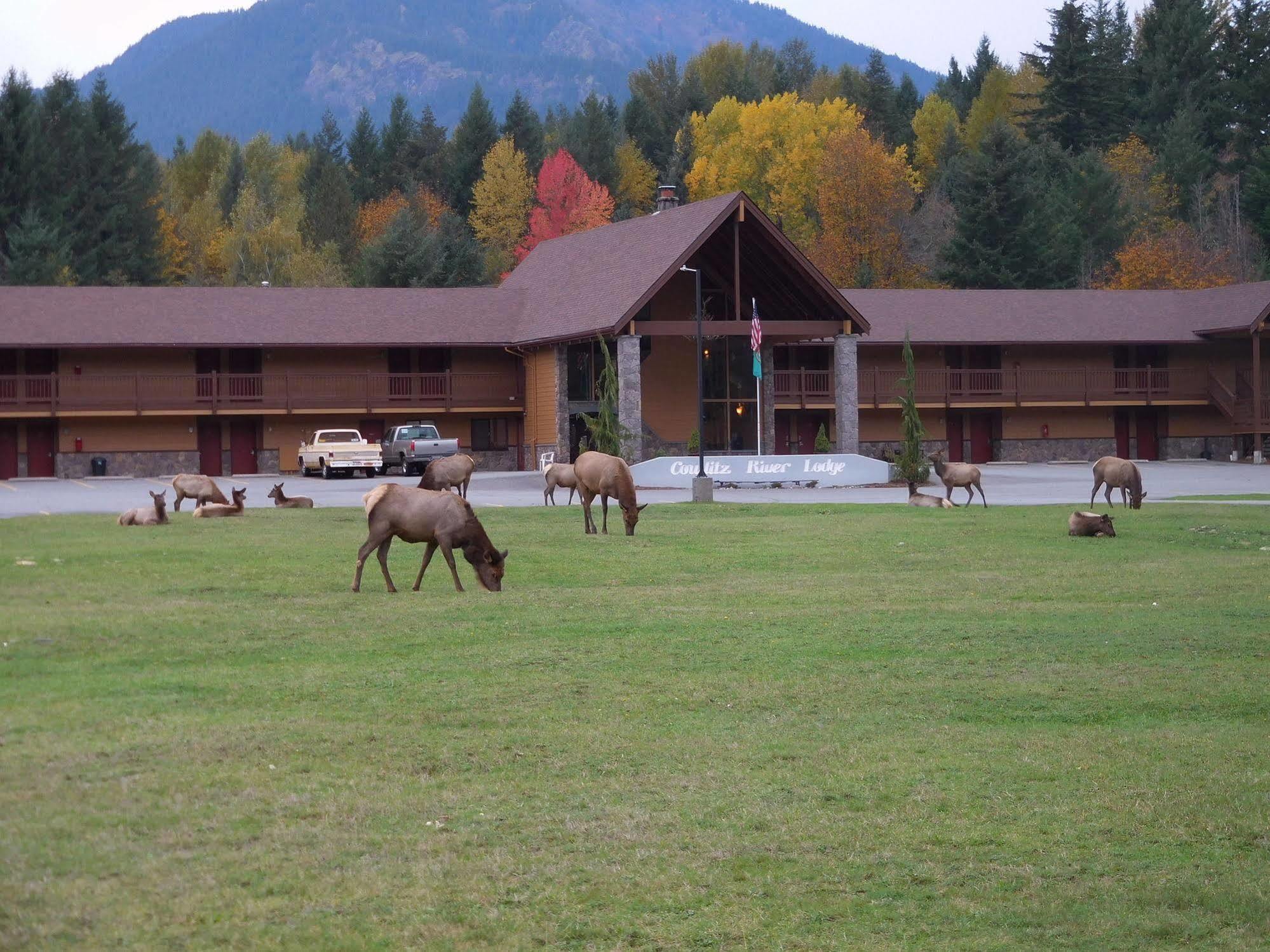 Cowlitz River Lodge Packwood Extérieur photo