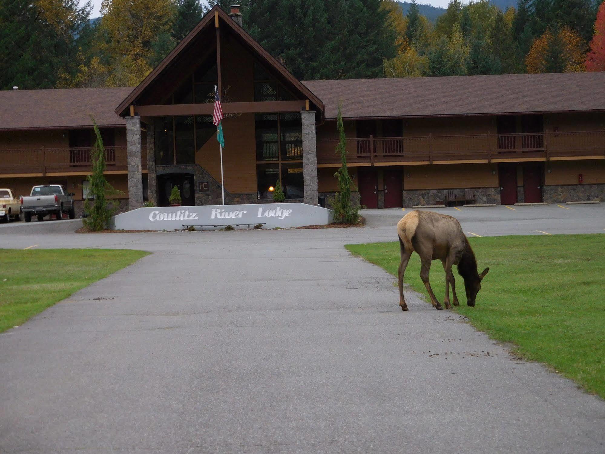 Cowlitz River Lodge Packwood Extérieur photo