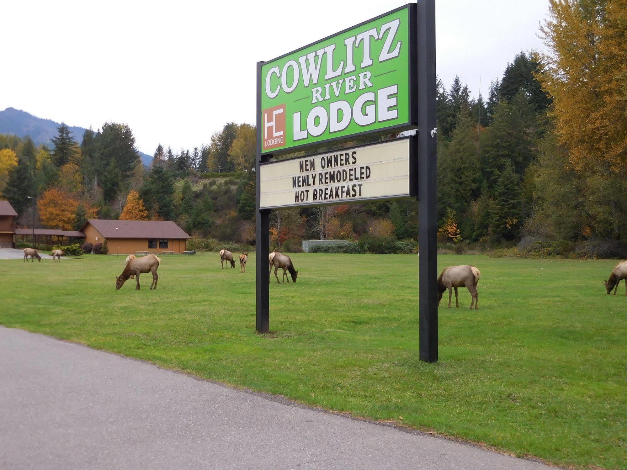 Cowlitz River Lodge Packwood Extérieur photo