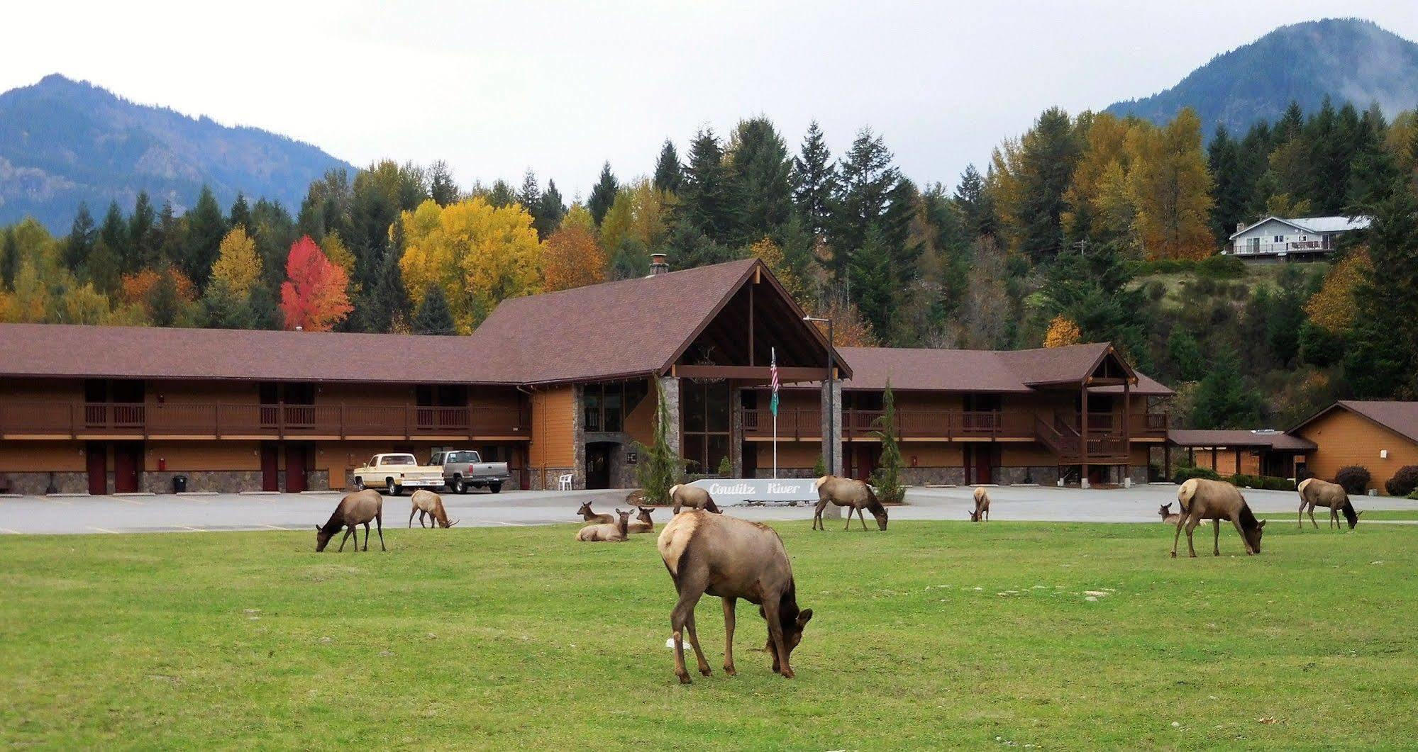 Cowlitz River Lodge Packwood Extérieur photo